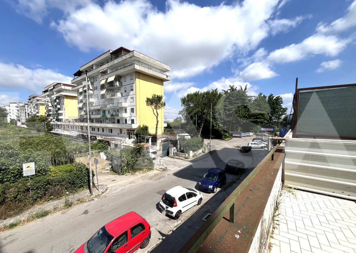 Vista