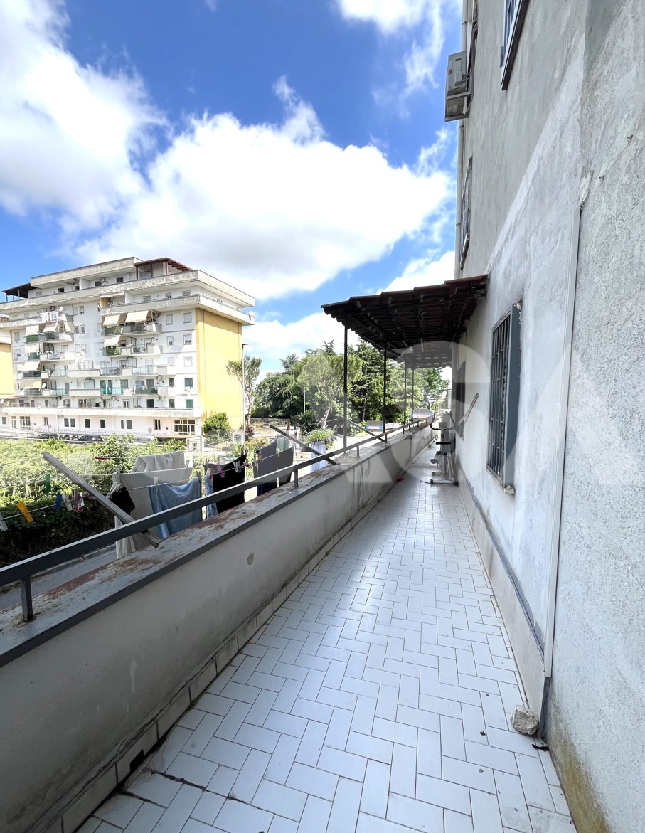 Terrazzo